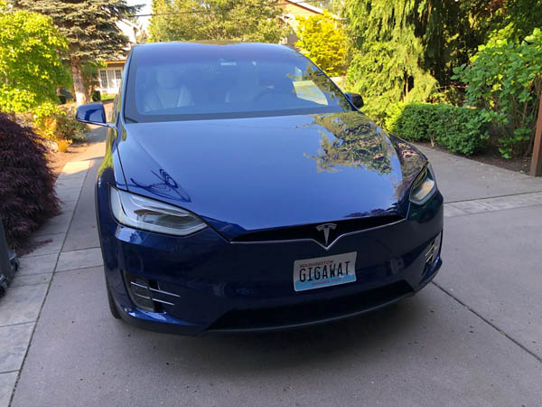 Adhesive license plate replica